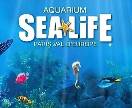Spacieux Disneyland - La Vallee Village - 6 Personnes - 60m2 Apartment Saint-Germain-sur-Morin